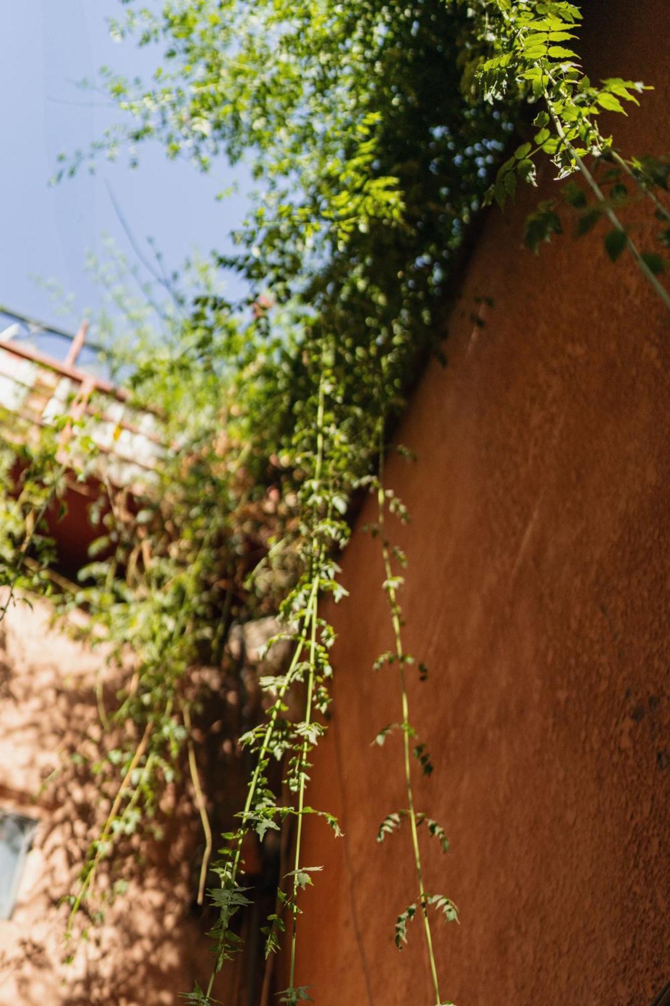 Riad Senja Марракеш Екстер'єр фото